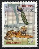 [Dhaka Zoo, type FP]
