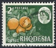 [Local Motives, type W]