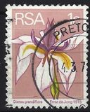 [Flora and Fauna, type NG]