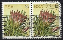 [Flora - Protea Plants, Tip PG]