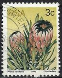 [Flora - Protea Plants, Tip PI]