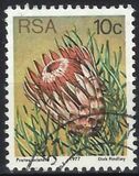 [Flora - Protea Plants, Tip PP]
