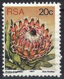 [Flora - Protea Plants, Tip PR]