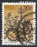 [Flora - Protea Plants, Tip PT]