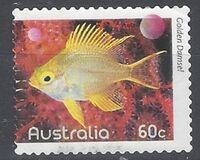 [Fish of the Reef, тип DJP]