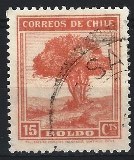 [Local Motives, type CW]