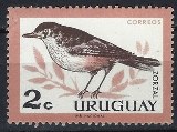 [Birds, type PE]