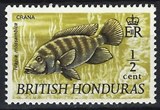 [Wildlife - Fish, տեսակ DT1]