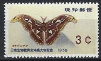 [Japanese Biological Teachers' Conference, Okinawa, type AW]
