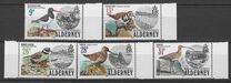 [Birds, type M]