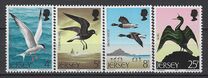 [Seabirds, тип CQ]