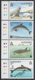 [WWF - Marine Life, type RH]