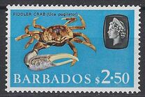 [Marine Life, タイプ EC]