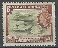 [Local Motives, type BV]