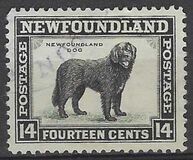 [Newfoundland Issue, type DV1]
