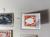 [St. Bonifatius, tip AZ]