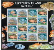 [Fauna - Fish, type ALH]