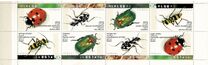 [Beetles, type AUN]