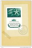 [Stamp Exhibition Capodistria, tegund BB1]