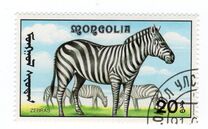 [African Wildlife, tip CCL]
