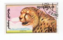 [African Wildlife, tip CCM]