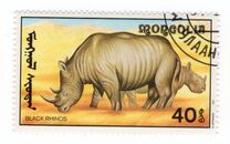 [African Wildlife, tip CCN]