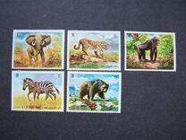 [Wild Animals, Tüüp RK]