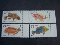 [Fish, tegund GN]