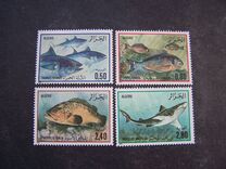 [Fish, ประเภท WD]