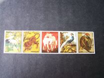 [Animal Paintings, type WWE]