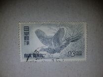 [Airmail - Birds, Japanese Pheasant, type KP]