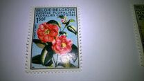 [flowers - Botanical Garden in Gent, type ALK]