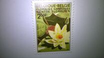 [flowers - Botanical Garden in Gent, type ALL]