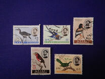 [Birds, type MU]