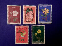[Ethiopian Flowers, Typ XOX]