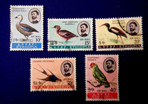 [Airmail - Birds, Tipi QX]