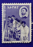 ["Education", տեսակ OK]