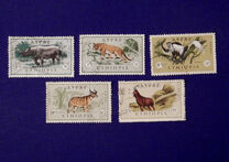 [Airmail - Animals, Scrivi QC]