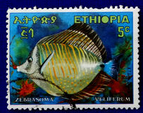 [Fish, type TQ]