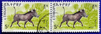 [Animals, type ZI]