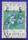 [Ethiopian Flowers, type AAD]