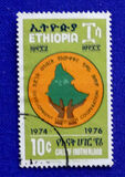 ["Development Through Co-operation" Campaign, տեսակ AAY1]