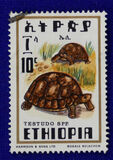 [Reptiles, тып ABG]
