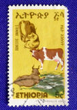 [Domestic Animals, タイプ ADJ]
