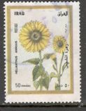 [Flora, type ZV]