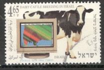 [The 70th Anniversary of Israel Dairy Cattle Breeders' Association, type AXJ]
