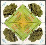 [Trees, סוג EGY]