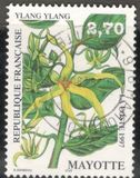 [Indigenous Plants, type D]