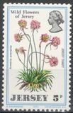 [Wild Flowers of Jersey, タイプ AM]