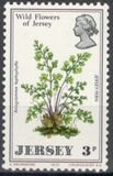 [Wild Flowers of Jersey, タイプ AK]